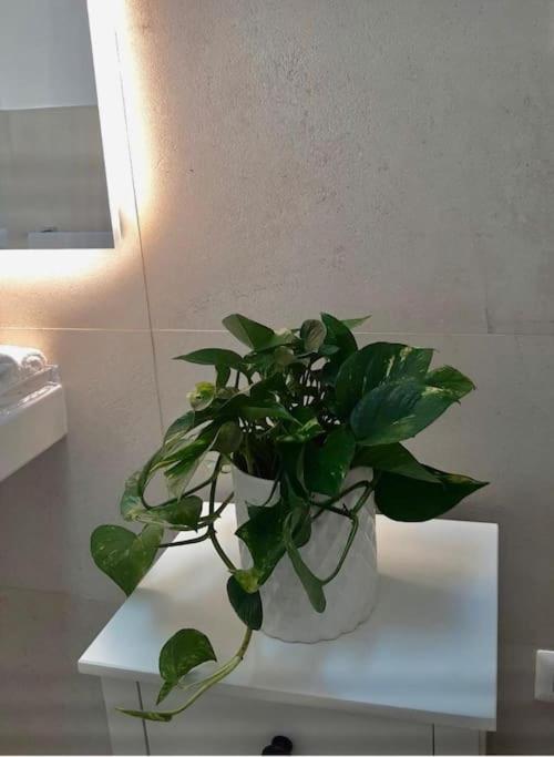 La Bella Vita 卡利亚里 外观 照片